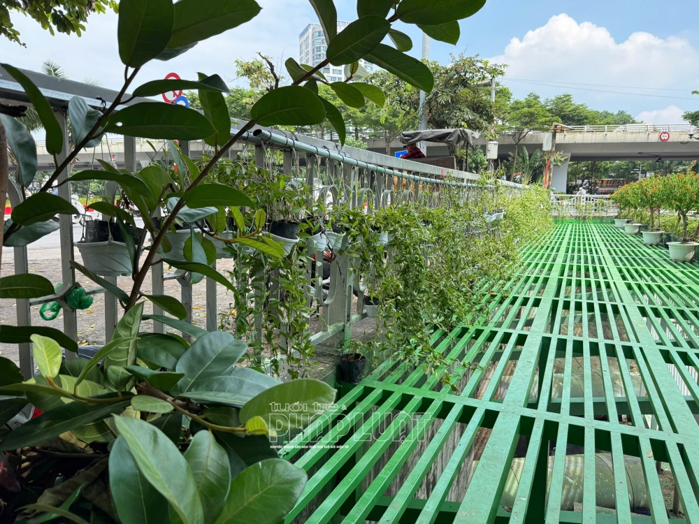 Sông Tô Lịch đổi thay: Trang trí hoa, lắp máy sục khí và chuẩn bị xây công viên nghìn tỷ