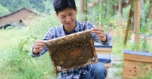 Kiếm trăm triệu nhờ nuôi ong sau nhiều lần khởi nghiệp thất bại