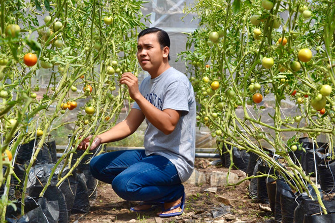 9x khoi nghiep tu nong nghiep sach