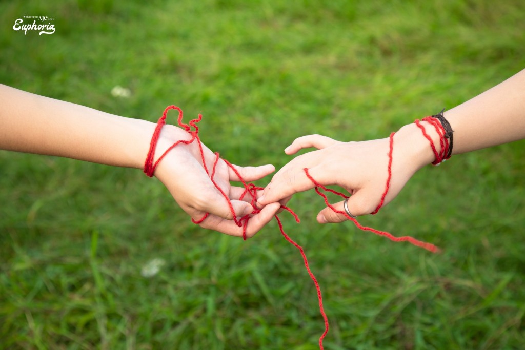 Sự đồng điệu giữa người với người, chính là sợi chỉ đỏ gắn kết hai trái tim trở thành một đôi tri kỷ.