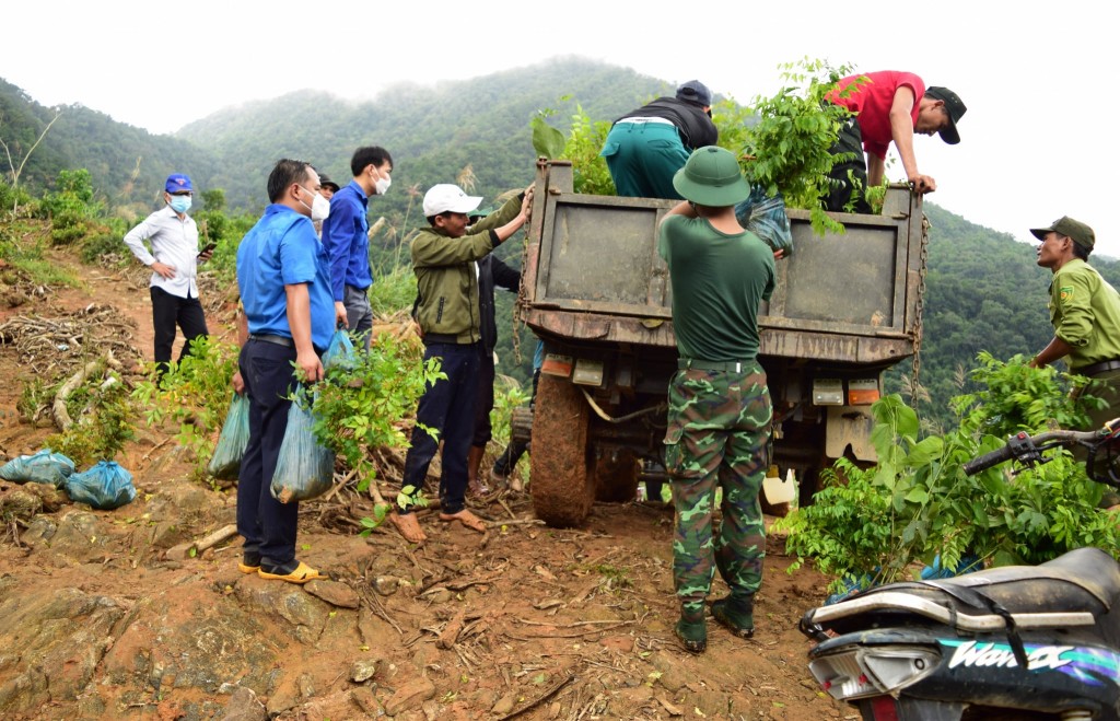 Trồng c&acirc;y bảo vệ rừng, th&acirc;n thiện với thi&ecirc;n nhi&ecirc;n