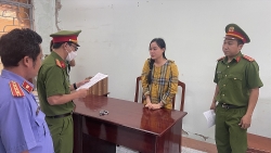 Khởi tố, bắt tạm giam Ninh Thị Vân Anh về tội "Lạm dụng tín nhiệm chiếm đoạt tài sản"