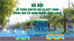 ha noi lo trinh chuyen doi xe buyt xanh trong van tai hanh khach cong cong