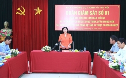 lua chon giam sat chat che cac nha thau khong de that thoat von dau tu