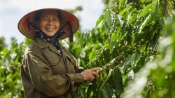 nhung cau chuyen y nghia trong ngay phu nu viet nam 2010