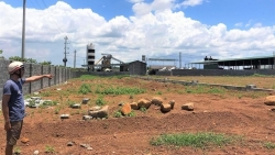 Những chính sách nổi bật có hiệu lực tháng 11/2023