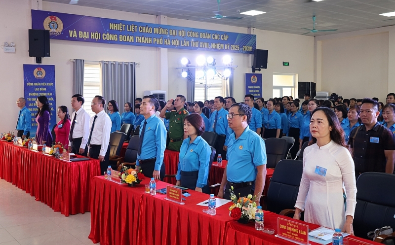 Các đại biểu thực hiện nghi thức chào cờ