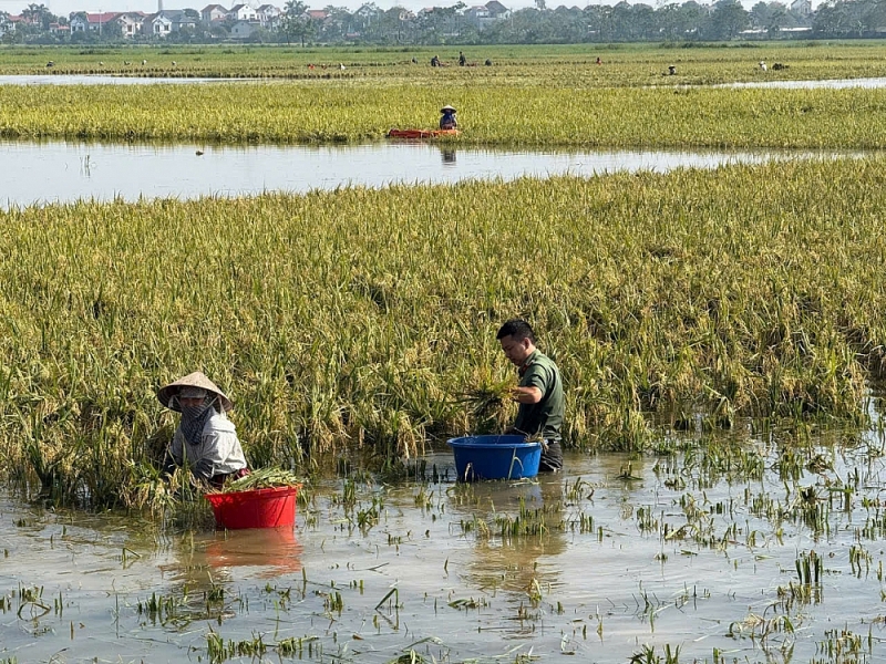 Hà Nội: Công an cơ sở hỗ trợ người dân ứng phó sau mưa bão