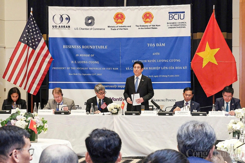 Dấu ấn hòa bình của Việt Nam tại Liên hợp quốc