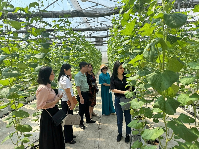 Bữa ăn bán trú an toàn từ nguồn đến bàn ở Tây Hồ