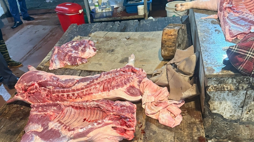 Hà Nội: Khởi tố nhóm đối tượng giết mổ, tiêu thụ gần 1 tấn lợn chết do dịch bệnh