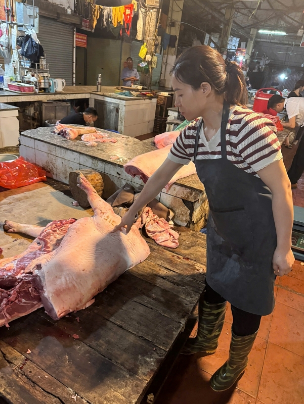 Lợn chuẩn bị được đưa ra thị trường