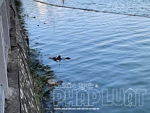 Xác người phụ nữ nổi trên Hồ Tây