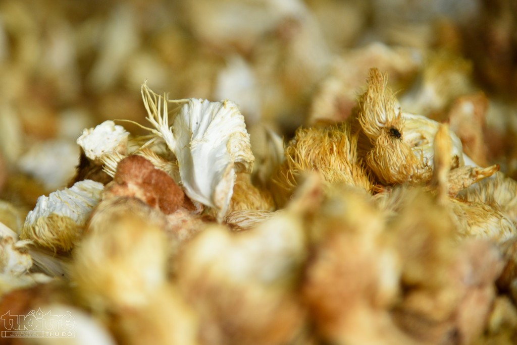 Anh Giang cho biết, tính trung bình cứ 10 kg nấm hầu thủ tươi mới được 1 kg nấm khô.
