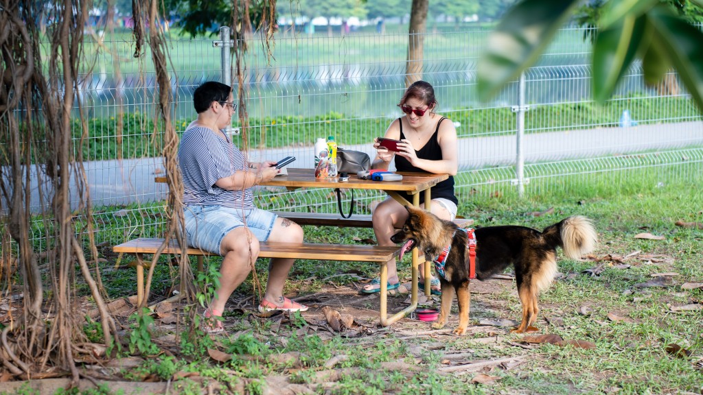 Khám phá bên trong công viên thú cưng đầu tiên ở Hà Nội