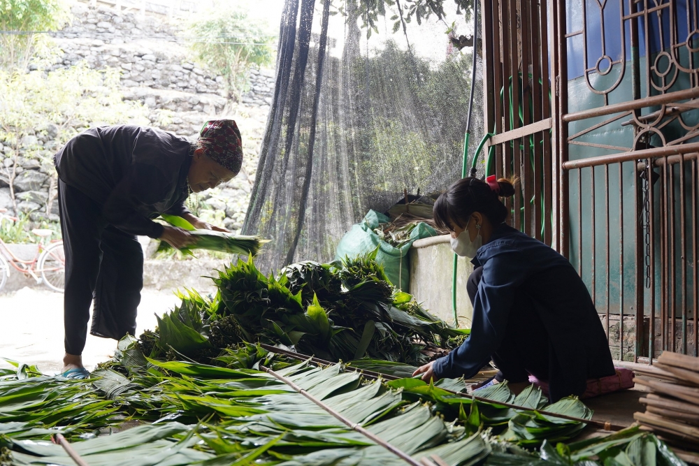 Người dân Đồng Chiêm gắn bó với nghề hái lá tre đã lâu