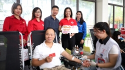 Những giọt máu hồng giữa đời thường