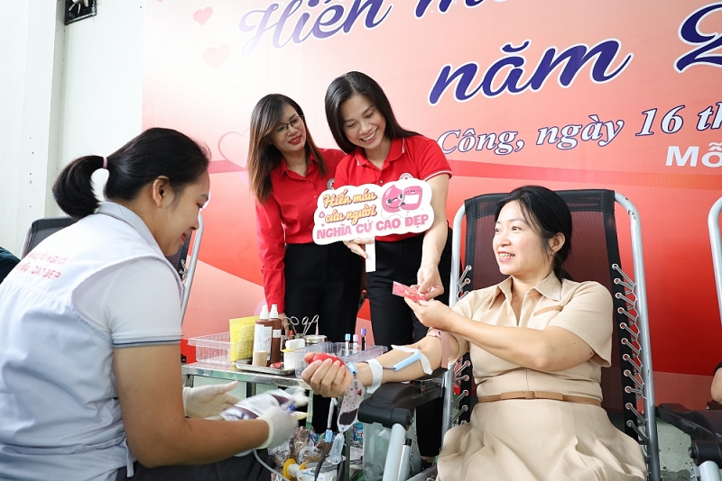 Những giọt máu hồng giữa đời thường