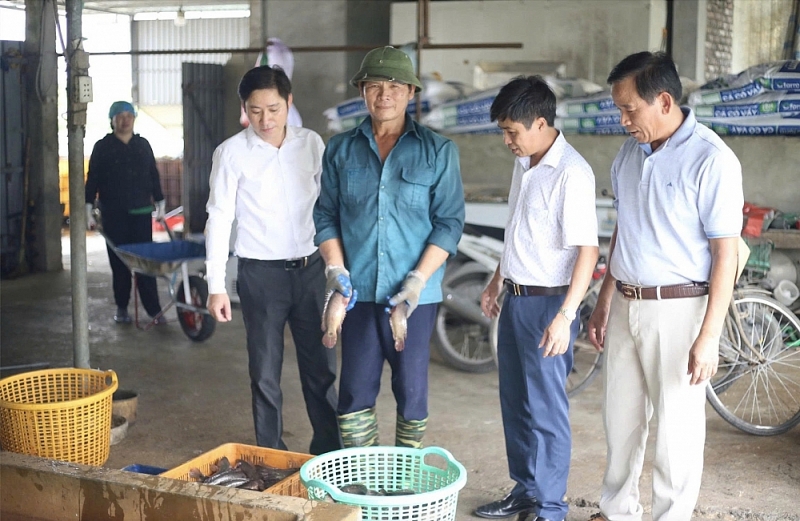 Hội viên nông dân cùng nhau làm giàu Hội viên nông dân cùng nhau làm giàu