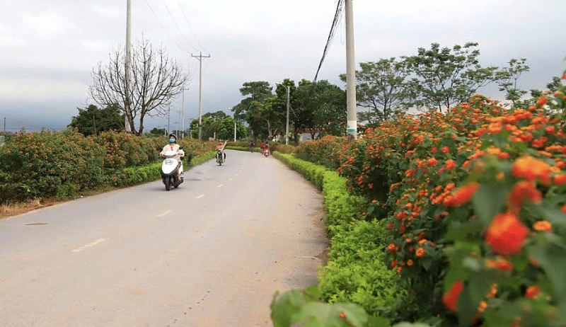Ấn tượng đường hoa nông dân giữa lòng Thủ đô Ấn tượng đường hoa nông dân giữa lòng Thủ đô