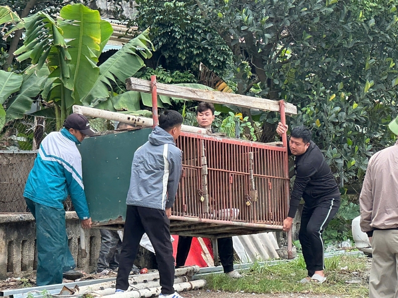 Lĩnh Nam ra quân thu hồi đất công bị lấn chiếm làm sân bóng Lĩnh Nam ra quân thu hồi đất công bị lấn chiếm làm sân bóng
