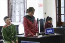 Lạm dụng tín nhiệm chiếm đoạt hơn 6 tỷ đồng, lĩnh 13 năm tù giam