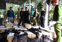 Hai cha con tàng trữ gần một tấn pháo