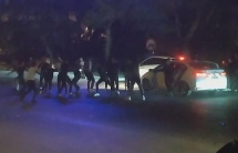 Dàn quân như trong game, hai nhóm thanh niên đất Cảng hỗn chiến