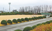 Công viên Nhật Bản treo biển hạn chế người Việt