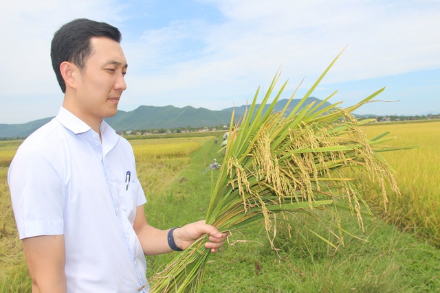 9X bỏ việc an nhàn về quê chế biến gạo, thu hàng chục tỷ đồng mỗi năm - 2