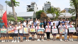 nhung nhip cau huu nghi ky niem 50 nam quan he ngoai giao viet nhat