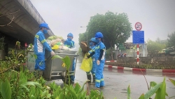 xanh ngo sach duong de nguoi dan don tet