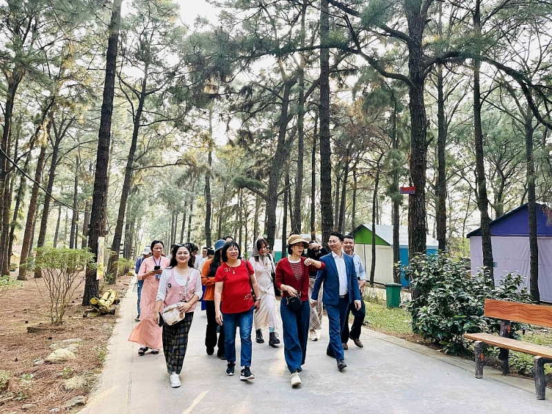 Kết nối nội đô với ‘lá phổi xanh’ Kim Anh