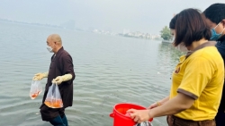 Thả cá tiễn ông Táo: Bao giờ tình nguyện viên không phải nhặt rác?