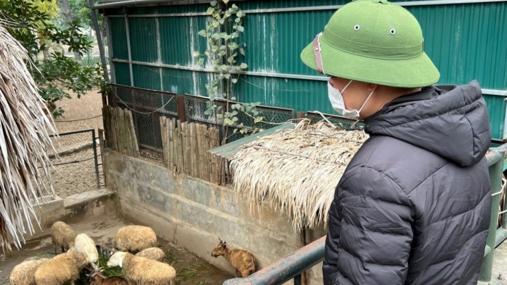 Xác minh thông tin vụ động vật trong Vườn thú Hà Nội bị rét