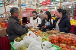 soi dong khong khi mua sam tai hoi cho mua xuan nam 2026