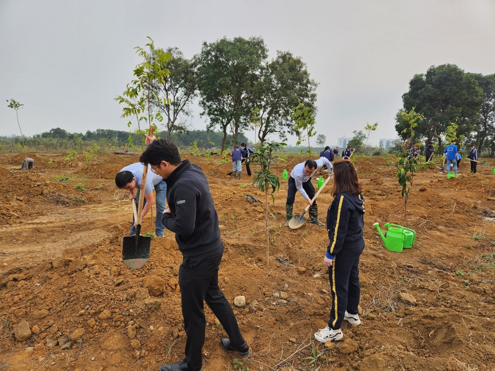 Sinh  viên Đại học Quốc Gia Hà Nội trồng hơn 1.000 cây xanh