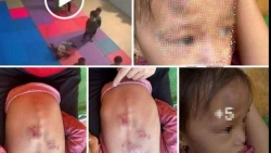 Hà Nội kiên quyết xử lý các cơ sở giáo dục mầm non vi phạm quy định