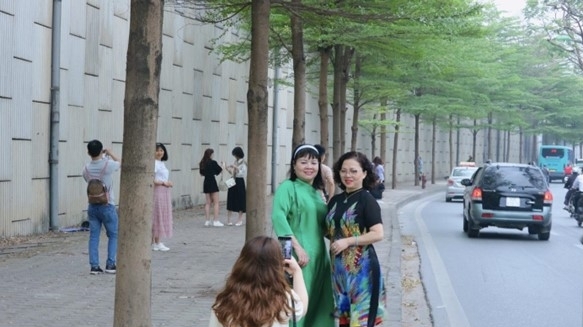 Người dân Thủ đô nô nức check in với hàng cây bàng lá nhỏ xanh mướt