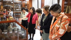 Triển lãm nguồn tài nguyên dược liệu và mô hình vườn cây thuốc