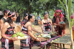 nhieu hoat dong hap dan khach du khach trong ngay van hoa cac dan toc viet nam 194