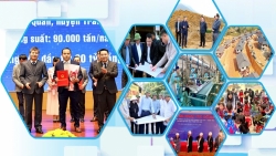 Yên Bái: Ấn tượng bức tranh kinh tế nhiều gam màu sáng