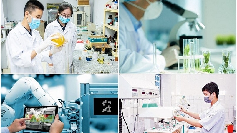 Thúc đẩy liên kết “3 nhà”