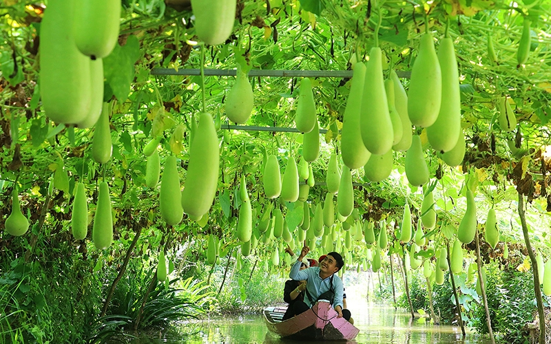 Sắp diễn ra “Bàn tròn Xúc tiến đầu tư bất động sản: Du lịch nông nghiệp Việt Nam”