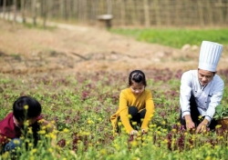 du lich nong nghiep huong di hieu qua gop phan tang gia tri vung dat