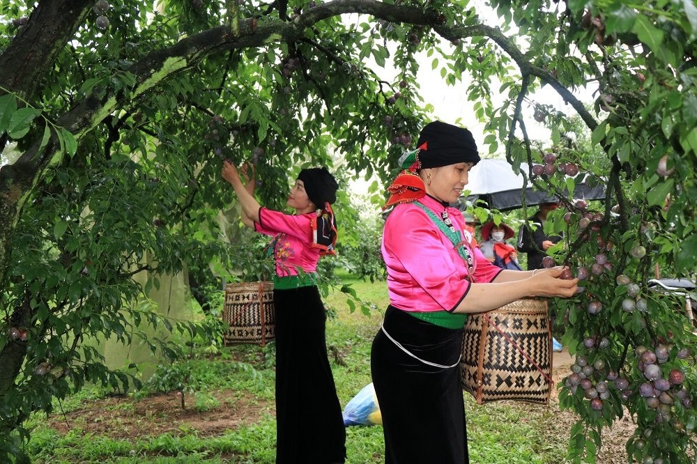 Nhiều hoạt động hấp dẫn khách du lịch tại Ngày hội Du lịch Văn hóa tỉnh Sơn La