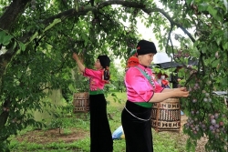 nhieu hoat dong hap dan khach du lich tai ngay hoi du lich van hoa tinh son la