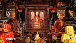 ra soat thuc trang trung bay bao ve cac bao vat quoc gia