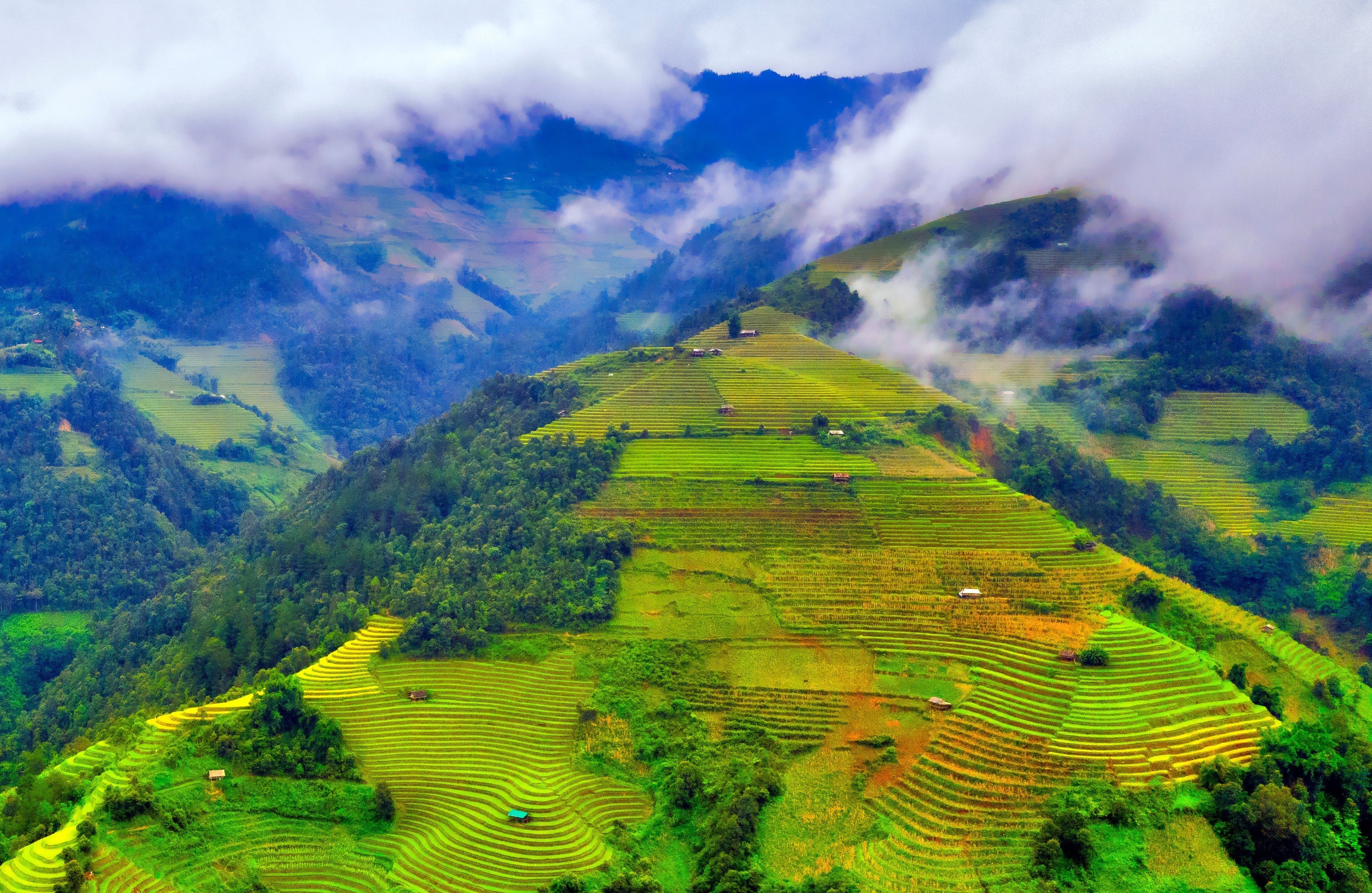 Yên Bái: Nỗ lực định vị thương hiệu “Nơi hội tụ sắc màu Tây Bắc” Yên Bái: Nỗ lực định vị thương hiệu “Nơi hội tụ sắc màu Tây Bắc”