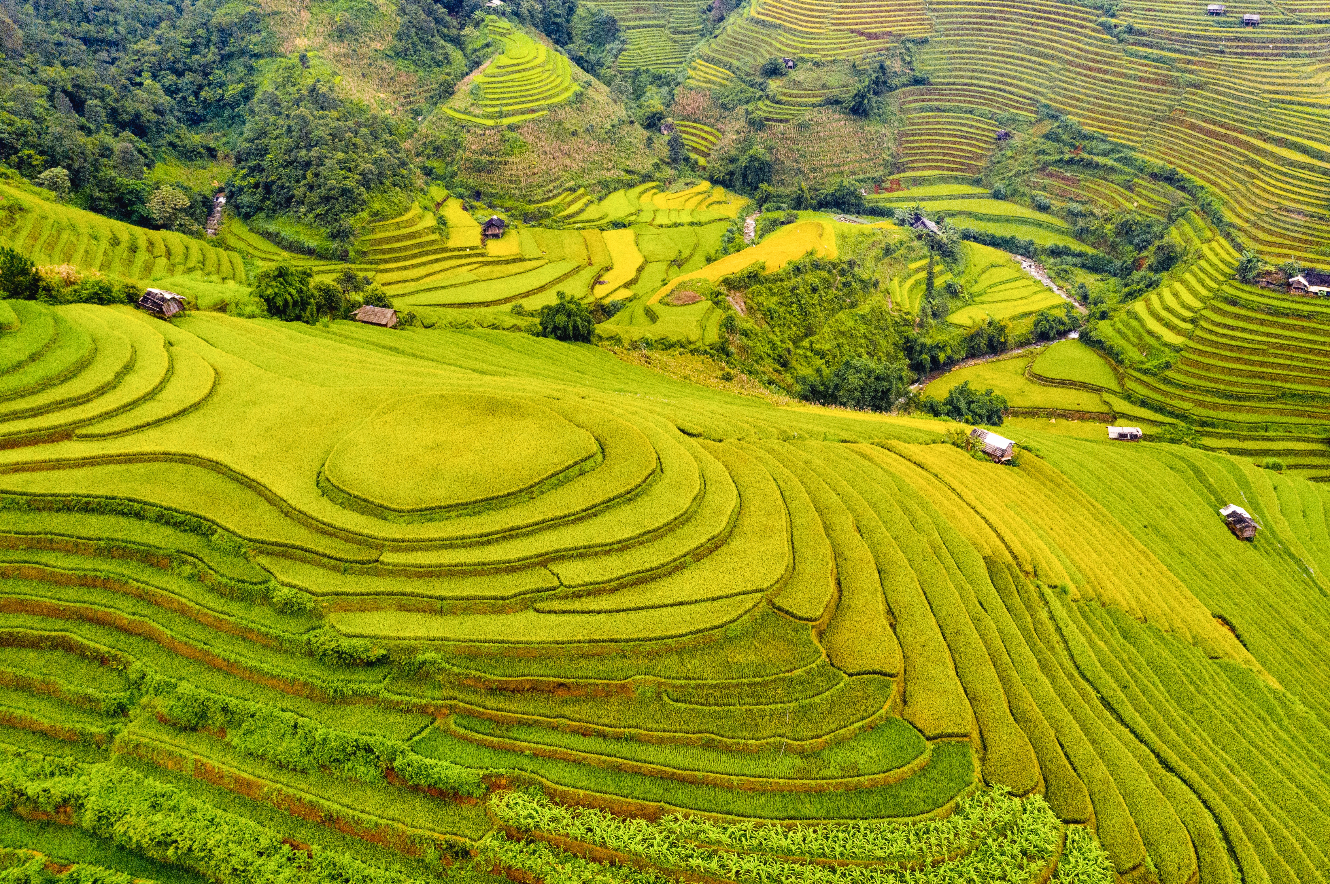 Yên Bái: Nỗ lực định vị thương hiệu “Nơi hội tụ sắc màu Tây Bắc” Yên Bái: Nỗ lực định vị thương hiệu “Nơi hội tụ sắc màu Tây Bắc”